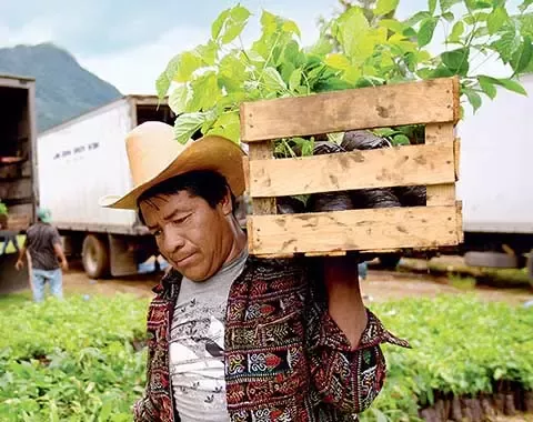 farmer