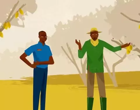 Cocoa animated farmers