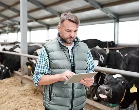 Dairy farmer
