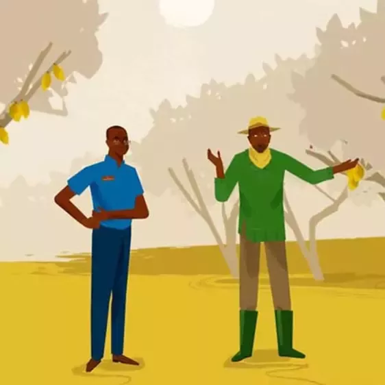 Cocoa animated farmers