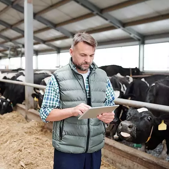 Dairy farmer