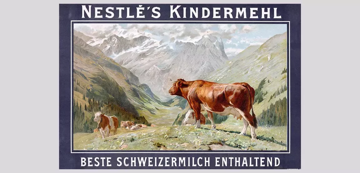 Cows graze in the mountains