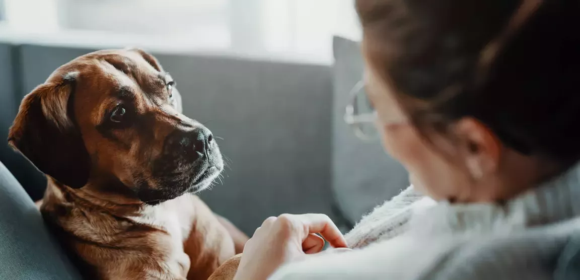 Girl with her dog