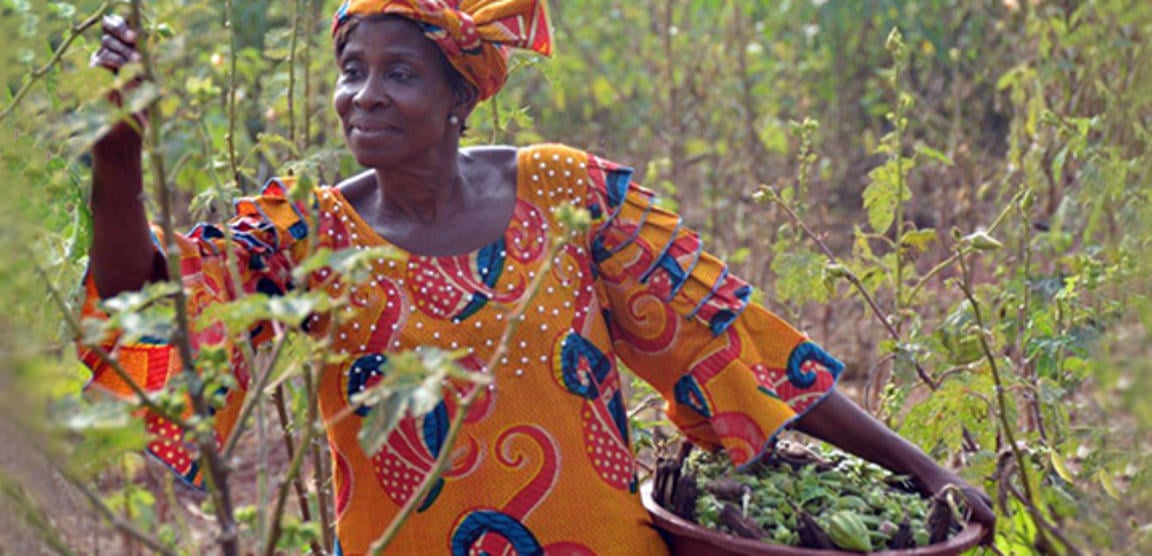 Women's empowerment in cocoa-growing communities
