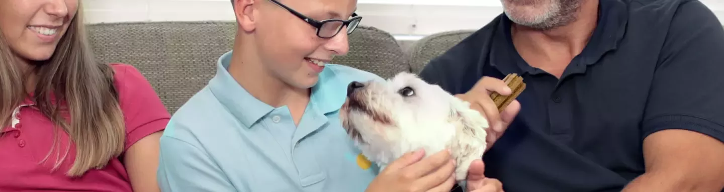Family feeding dog