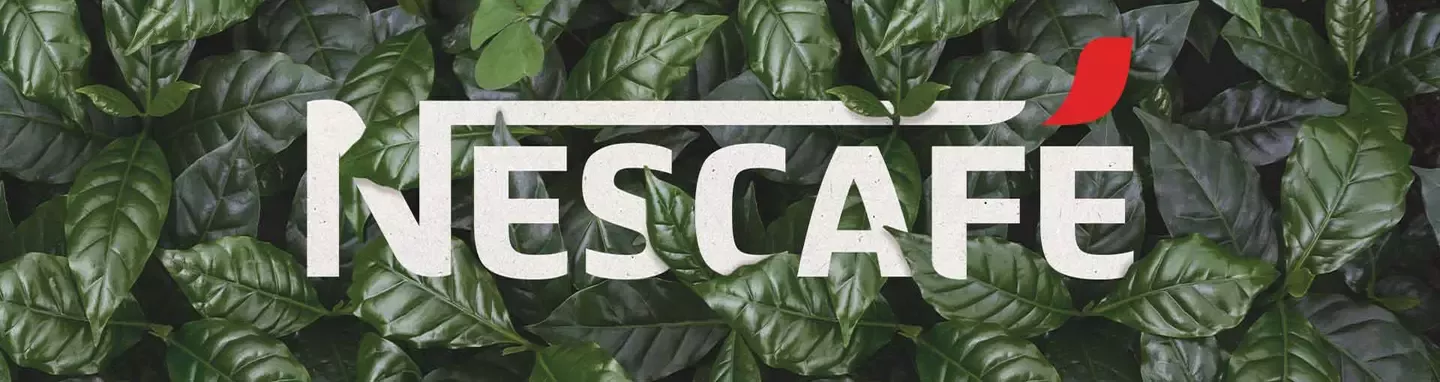coffee leaves