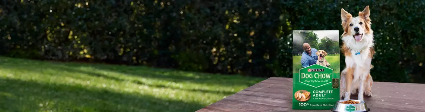 dog-chow-header