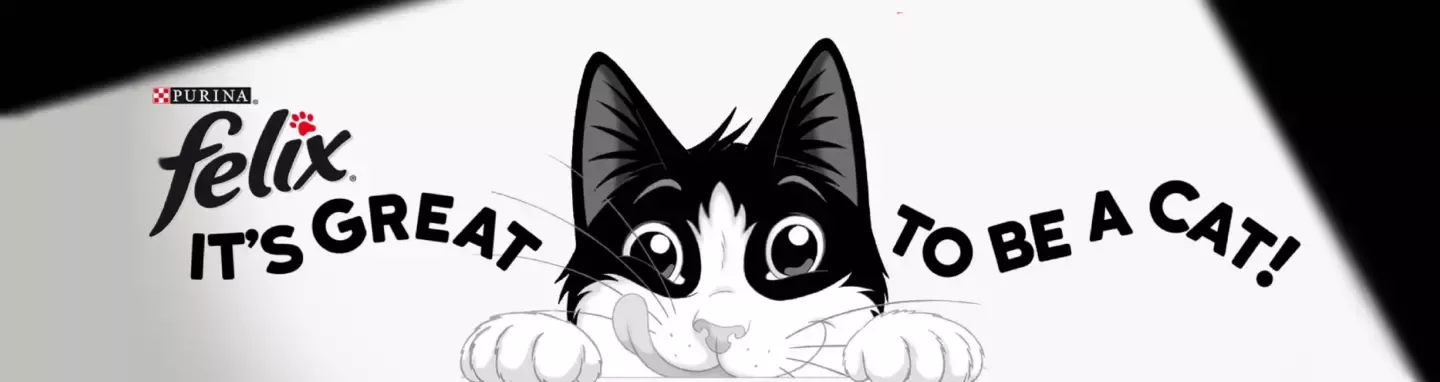 felix header
