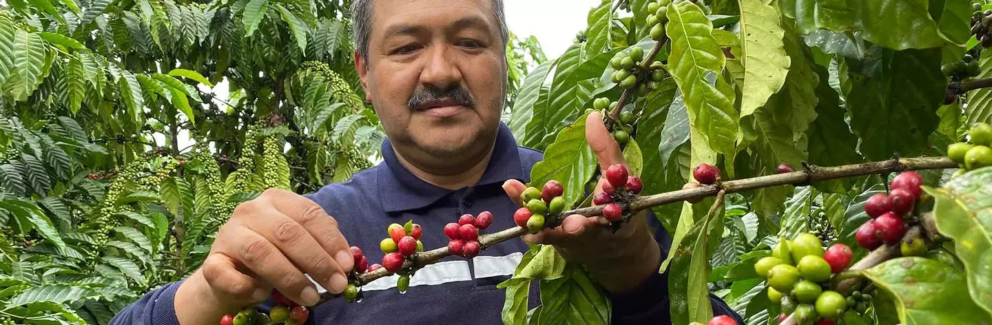 coffee farmer