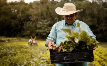 Farmer carrying plant
