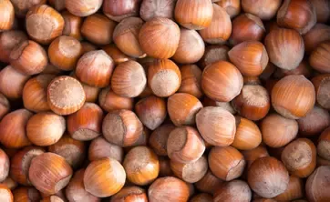 hazelnuts