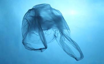 plastic bag floating in sea