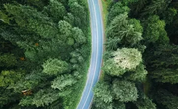 road cutting through forest