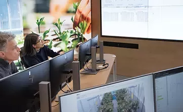Meeting on big screen with people looking up from their desktop screens
