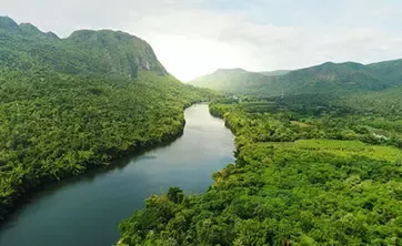River going through mountain forests