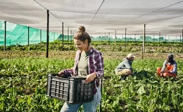 Farmer carrying basket of produce