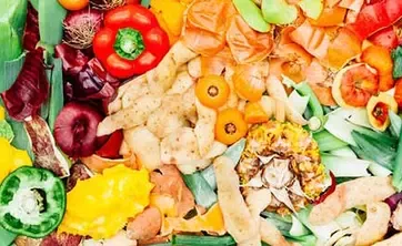 raw fruit and vegetable scraps