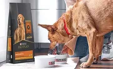 Petcare