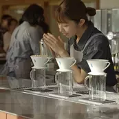 barista girl