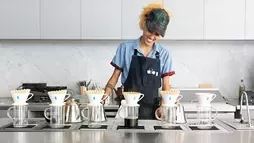 Barista