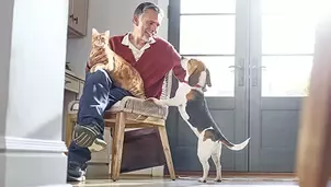 Elder man with cat and dog