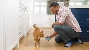 Man feeding cat