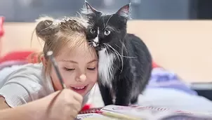 Girl drawing and hugging kitten