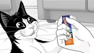 Felix snack
