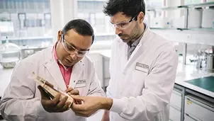 Employees at one of our research institutes