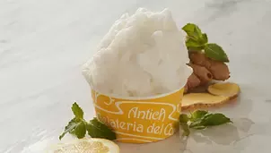 Antica Gelateria Del Corso sorbet