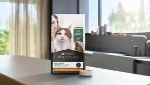 Purina pro plan for cats