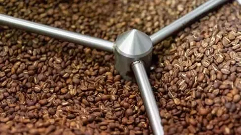 Coffee grains