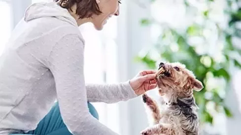 Woman feeding dog