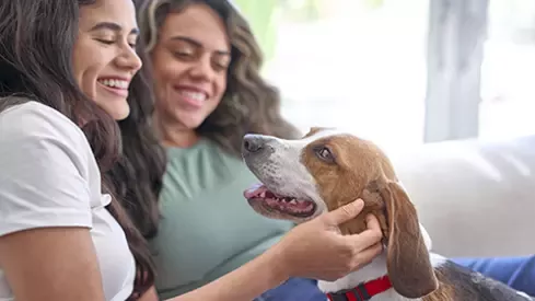 Women and dog