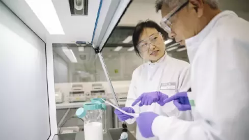 Researchers in the lab