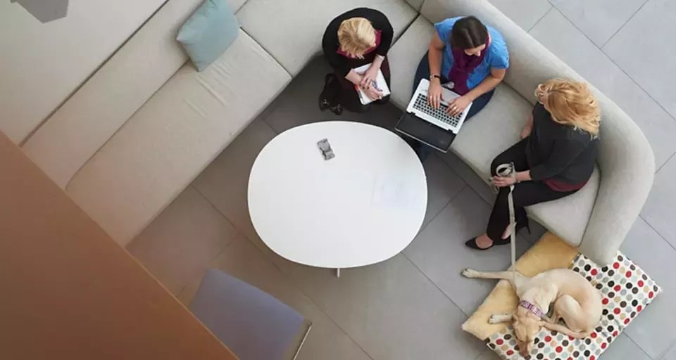 People having meeting on work