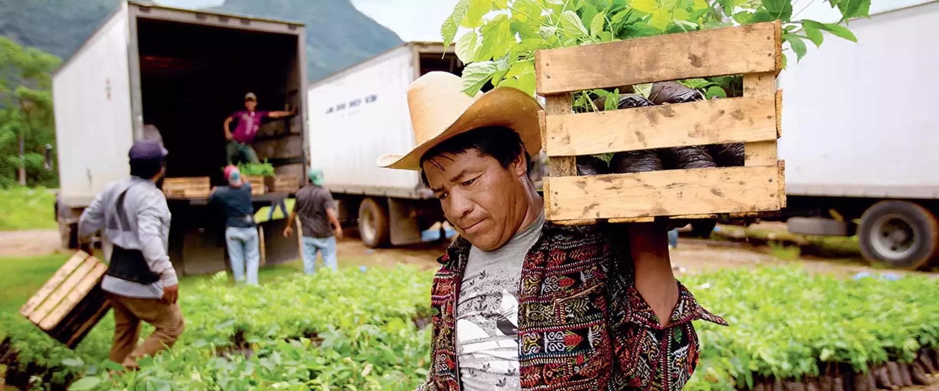 farmer