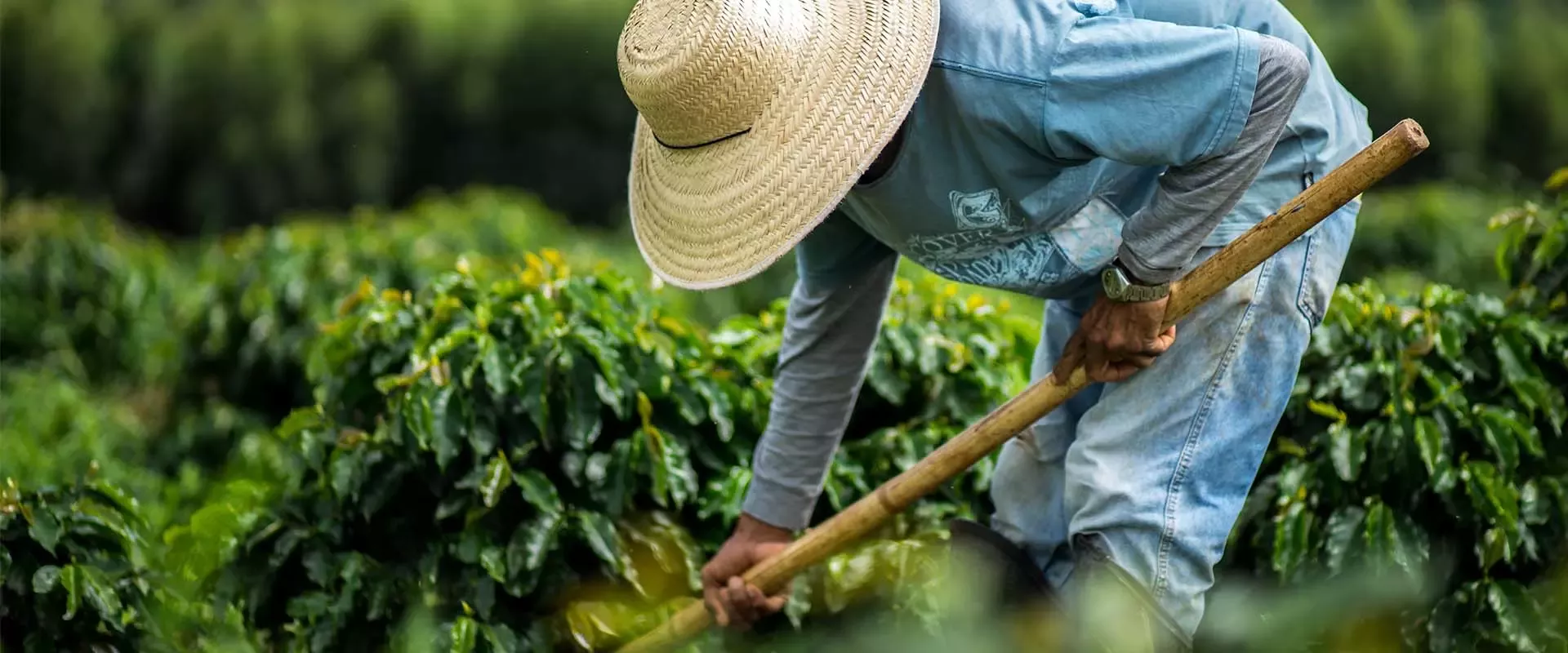 Building a Community for Sustainable Growth in the Supplement Industry