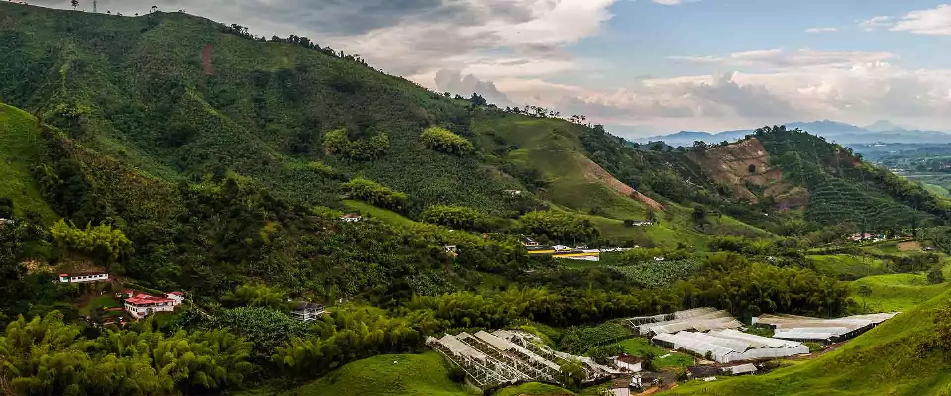 farmland sits within forests