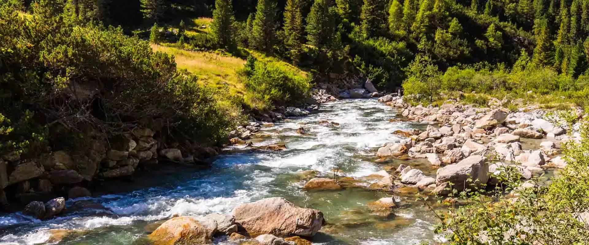 A river running through a green forest landscape