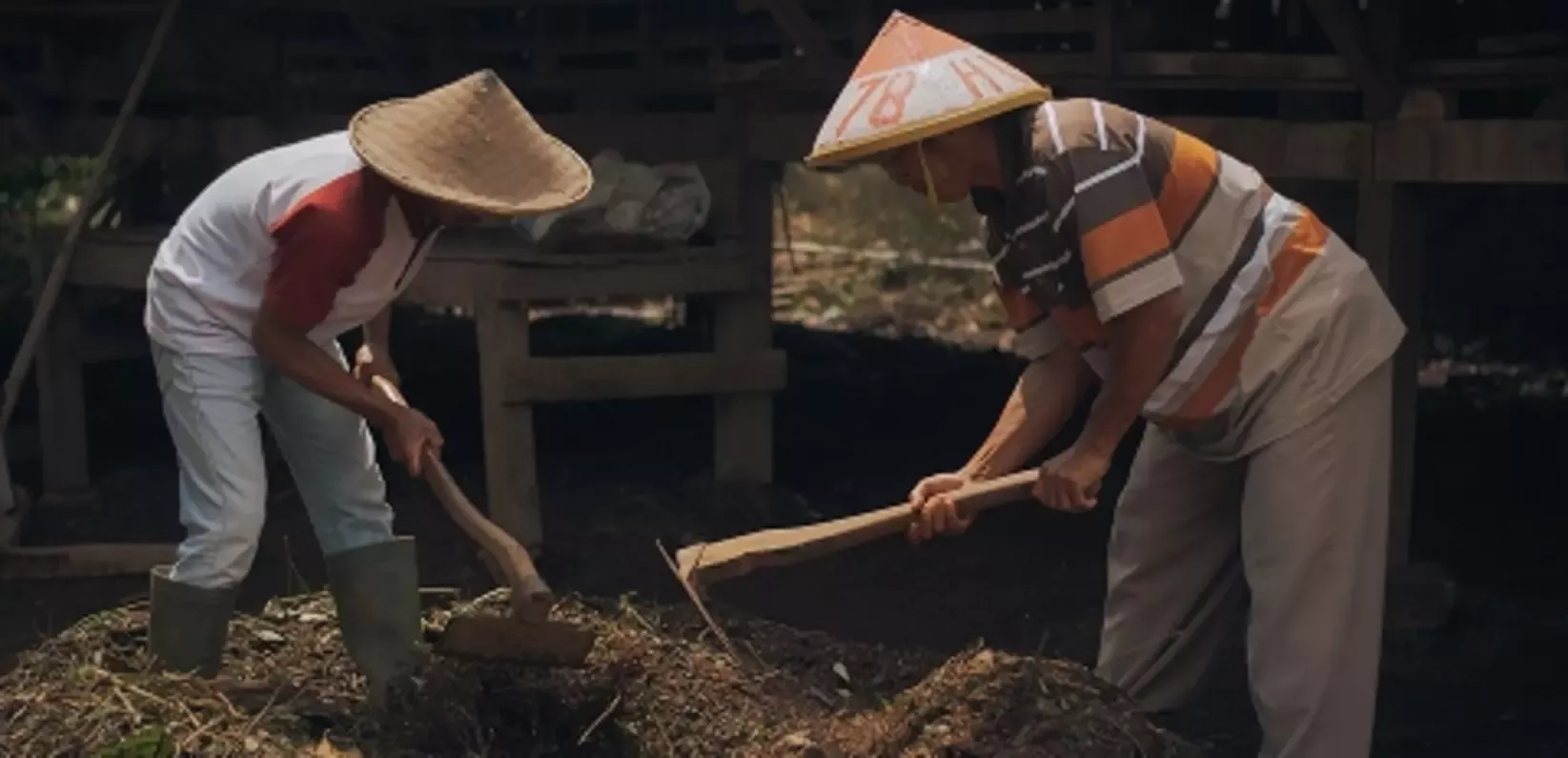 farmers