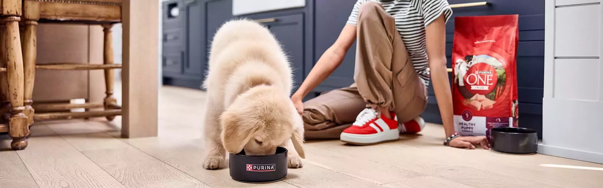 Puppy eating from bowl beside child and Purina ONE dog food in a modern kitchen