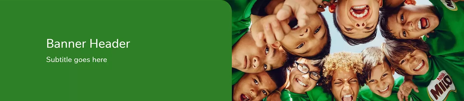 Banner header