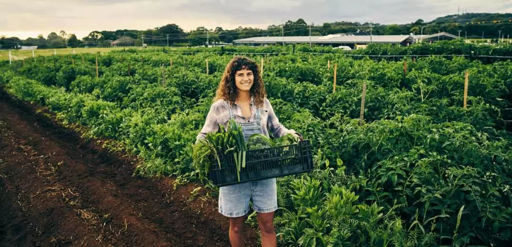 Farmer holding basket of produce