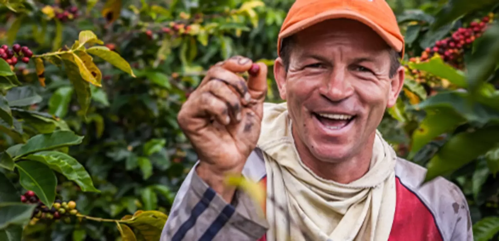 Person holding coffee bean