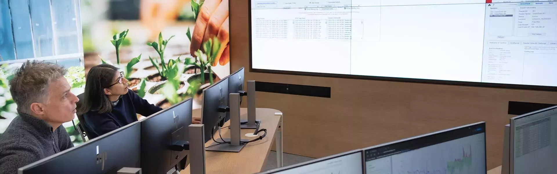 People looking at computer screen