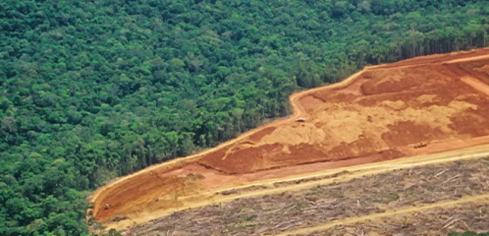 Deforested area