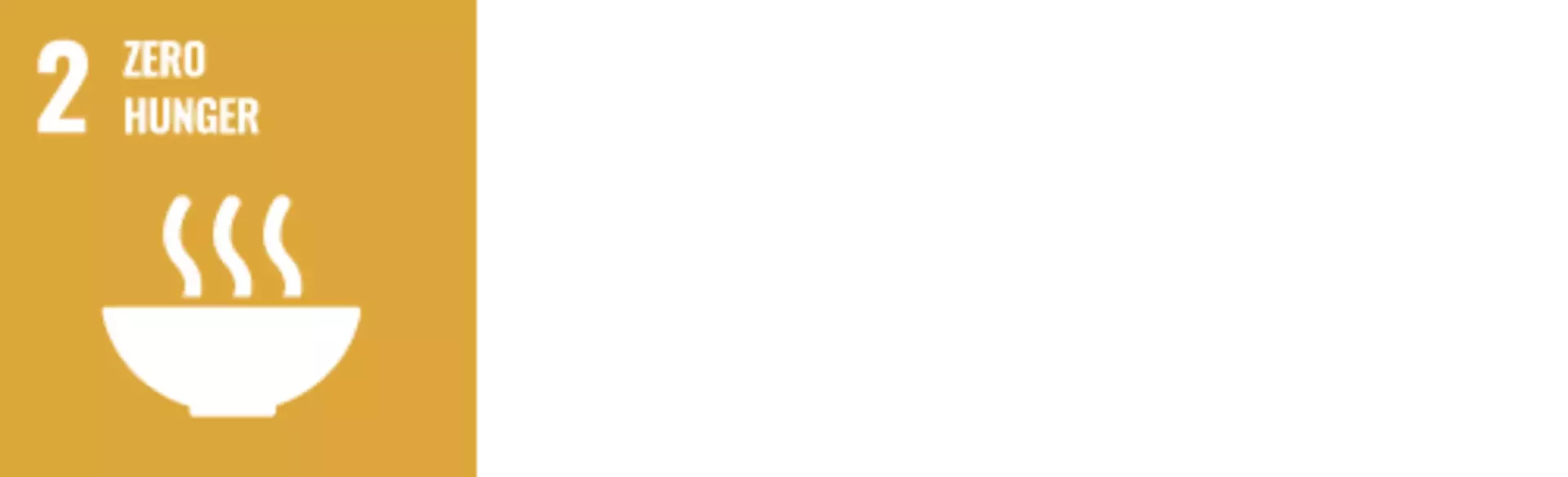 UN SDGs 2 