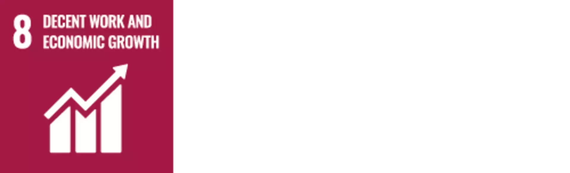 UN SDGs 8