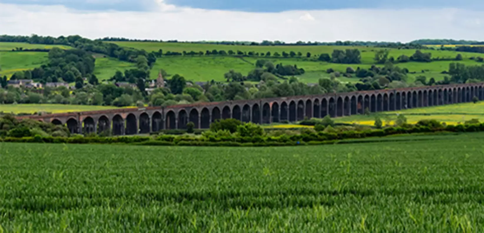 Bridge